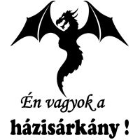 Én vagyok a házisárkány