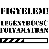 Legénybúcsú 01